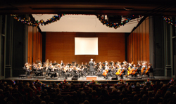 Symphony and audience